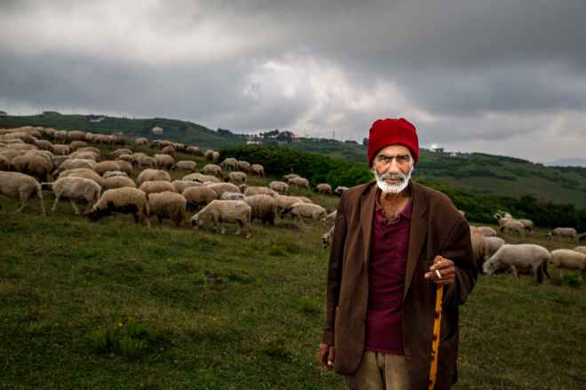 photo of old man with herd of sheep